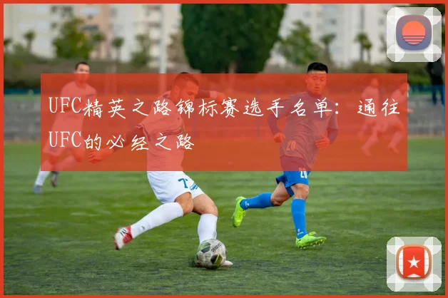 UFC精英之路锦标赛选手名单：通往UFC的必经之路
