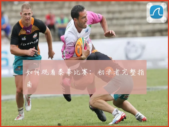 如何观看泰拳比赛：初学者完整指南