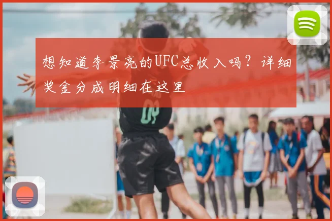 想知道李景亮的UFC总收入吗?详细奖金分成明细在这里