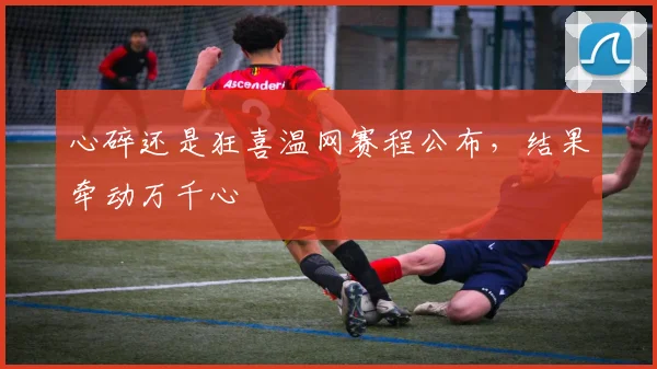 心碎还是狂喜温网赛程公布,结果牵动万千心