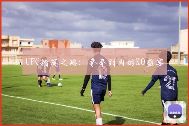 UFC精英之路：拳拳到肉的KO盛宴