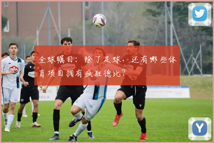 全球瞩目：除了足球，还有哪些体育项目拥有疯狂德比？