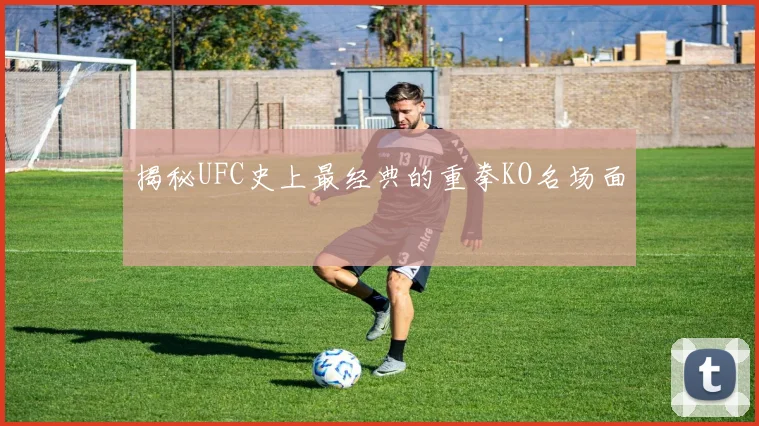 揭秘UFC史上最经典的重拳KO名场面
