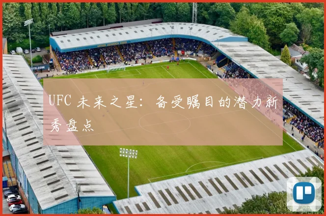UFC 未来之星:备受瞩目的潜力新秀盘点