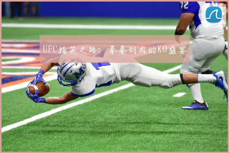 UFC精英之路：拳拳到肉的KO盛宴