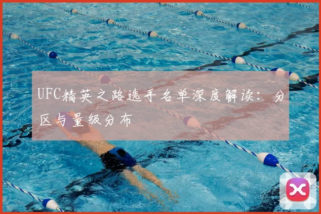 UFC精英之路选手名单深度解读：分区与量级分布