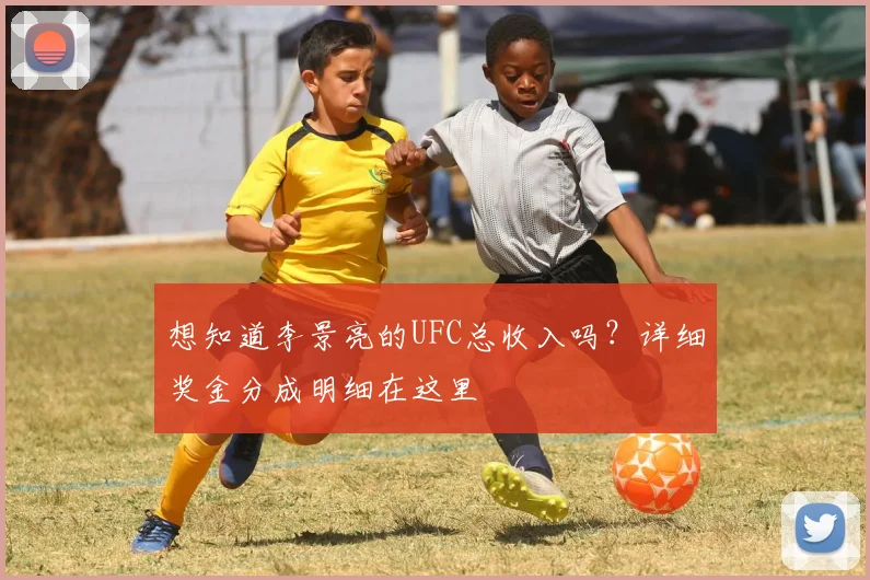 想知道李景亮的UFC总收入吗?详细奖金分成明细在这里