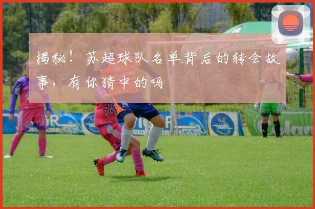 揭秘!苏超球队名单背后的转会故事,有你猜中的吗