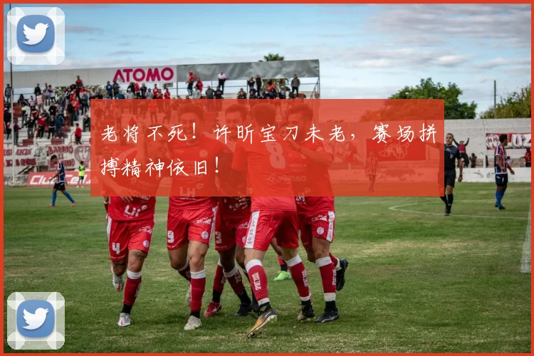 老将不死!许昕宝刀未老,赛场拼搏精神依旧!