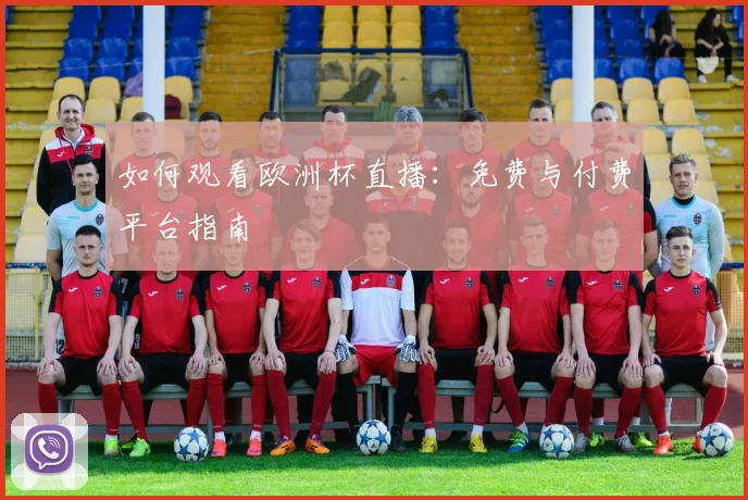 如何观看欧洲杯直播：免费与付费平台指南