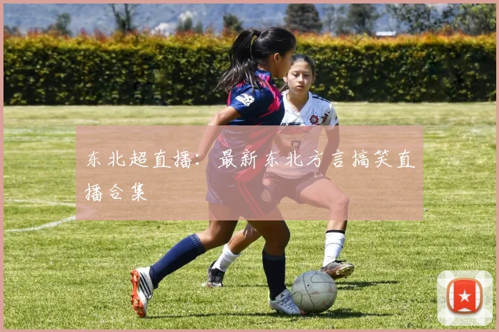 东北超直播:最新东北方言搞笑直播合集