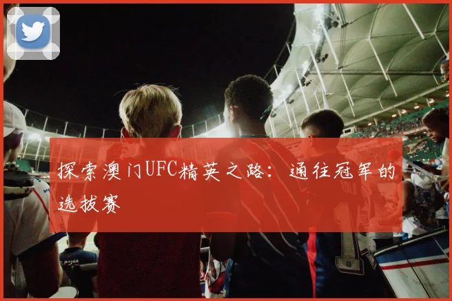 探索澳门UFC精英之路:通往冠军的选拔赛