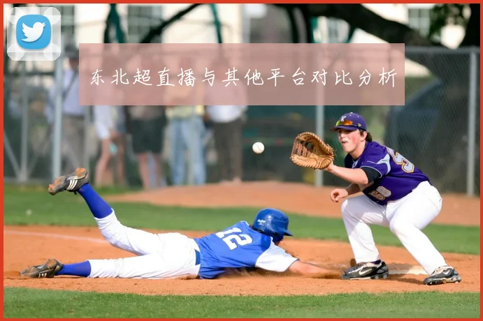 东北超直播与其他平台对比分析