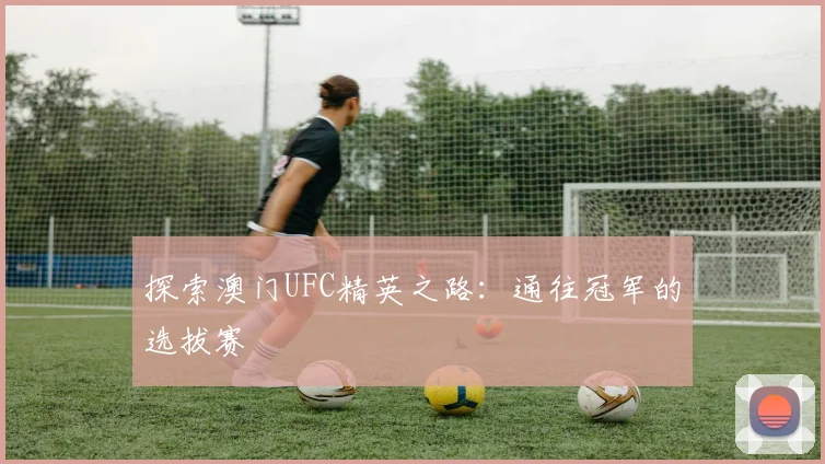 探索澳门UFC精英之路:通往冠军的选拔赛