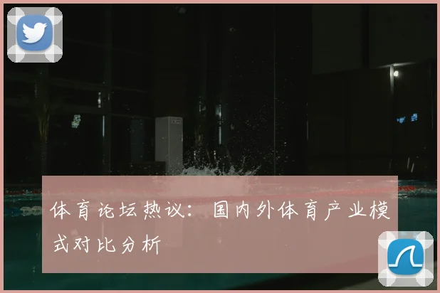体育论坛热议：国内外体育产业模式对比分析