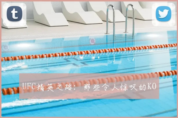 UFC精英之路：那些令人惊叹的KO